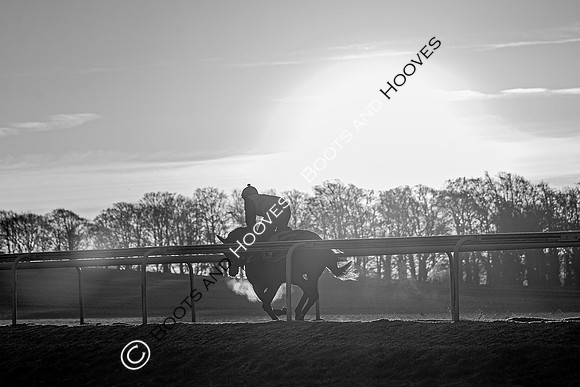 Newmarket Gallops