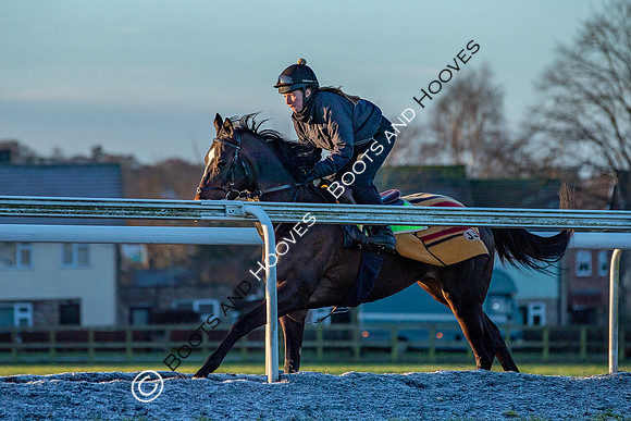 Newmarket Gallops