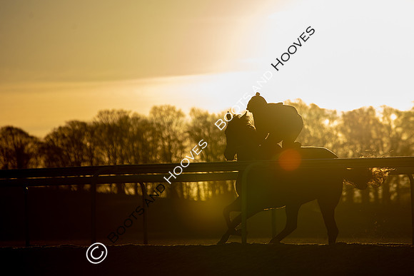 Newmarket Gallops