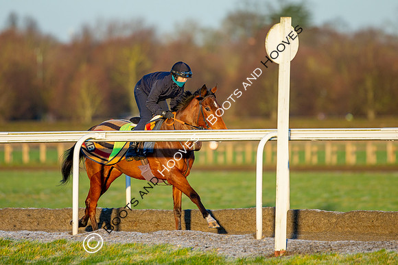 Newmarket Gallops