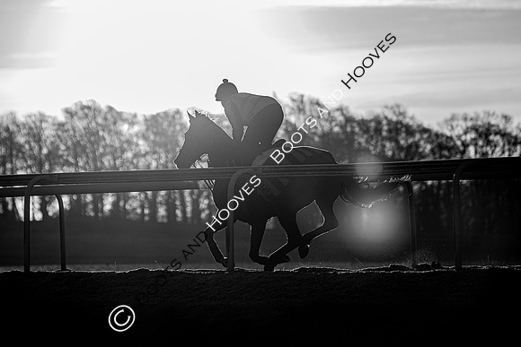 Newmarket Gallops