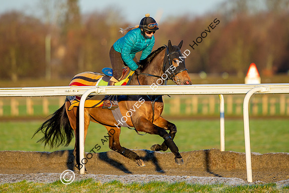 Newmarket Gallops