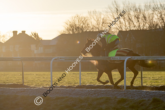 Newmarket Gallops