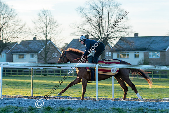 Newmarket Gallops