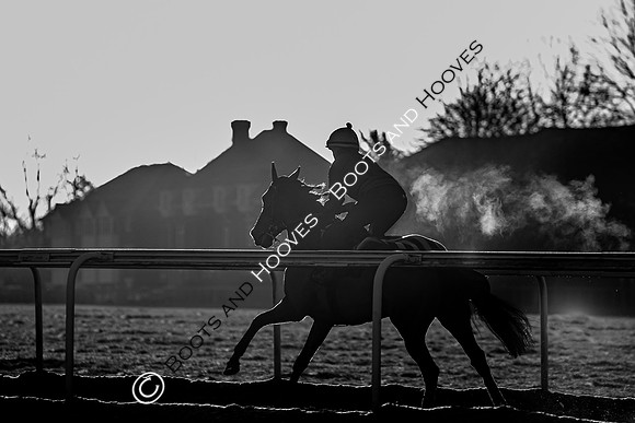 Newmarket Gallops