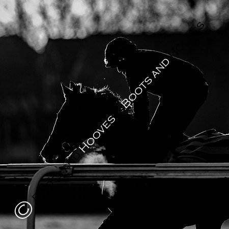Newmarket Gallops