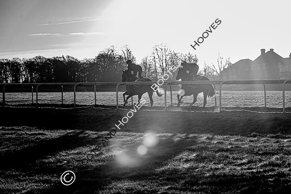 Newmarket Gallops