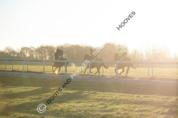 Newmarket Gallops