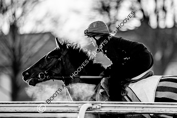 Newmarket Gallops