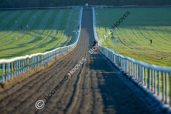 Newmarket Gallops