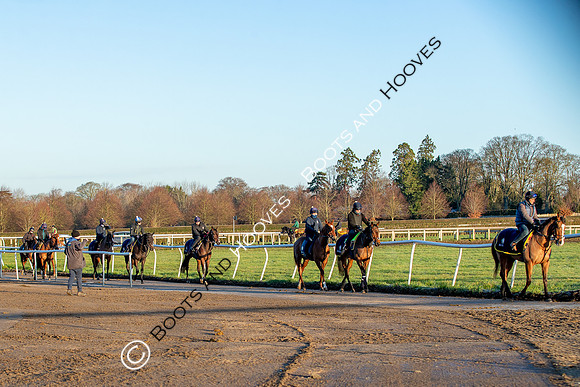 Newmarket Gallops