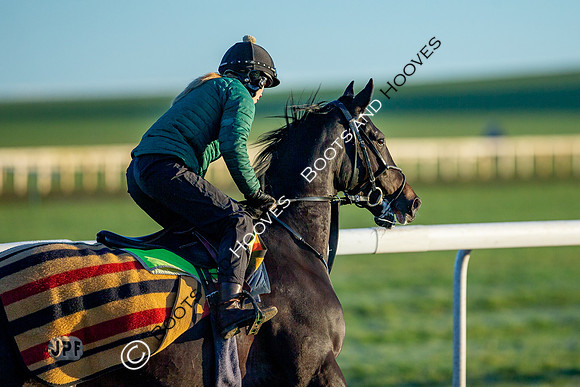 Newmarket Gallops