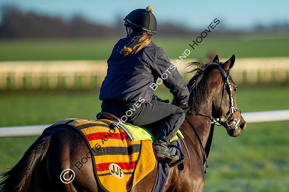 Newmarket Gallops