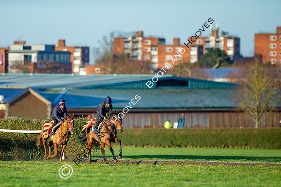 Newmarket Gallops