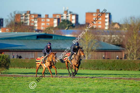 Newmarket Gallops