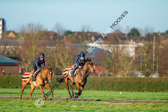 Newmarket Gallops