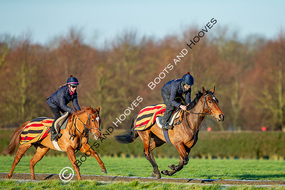 Newmarket Gallops