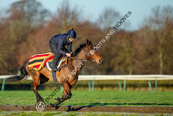 Newmarket Gallops