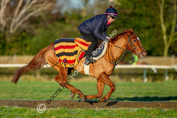 Newmarket Gallops
