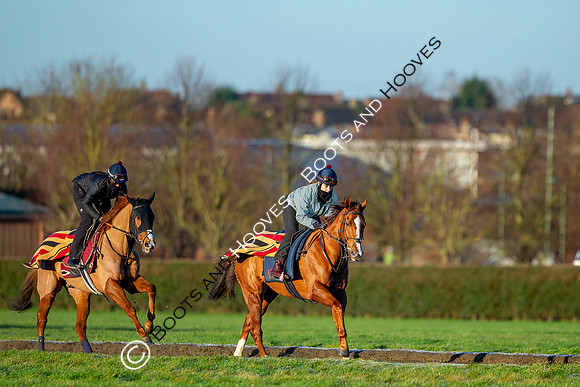 Newmarket Gallops