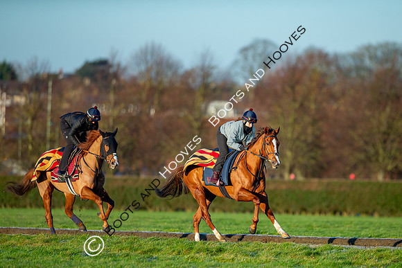 Newmarket Gallops