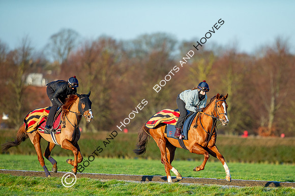 Newmarket Gallops
