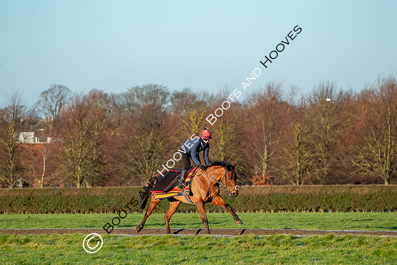 Newmarket Gallops