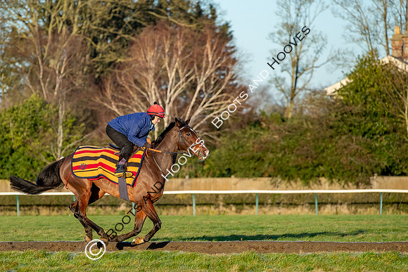 Newmarket Gallops