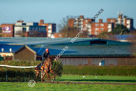 Newmarket Gallops