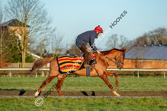 Newmarket Gallops