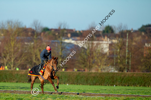 Newmarket Gallops