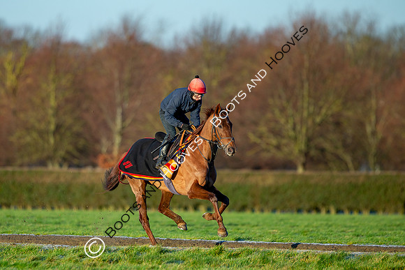 Newmarket Gallops
