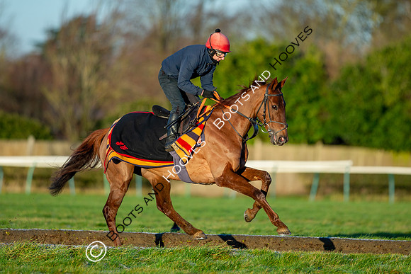 Newmarket Gallops