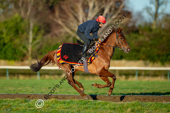 Newmarket Gallops