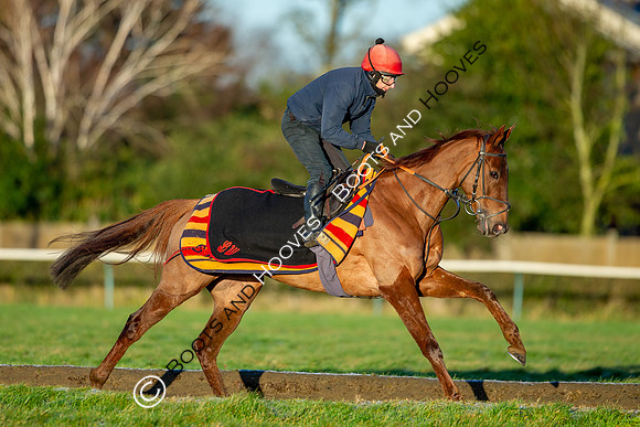 Newmarket Gallops