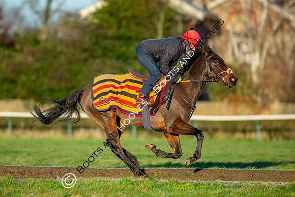 Newmarket Gallops