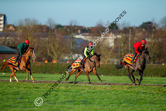 Newmarket Gallops