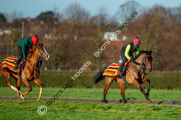 Newmarket Gallops