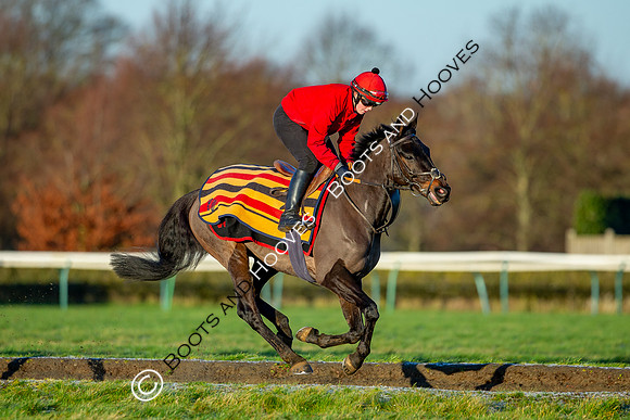 Newmarket Gallops