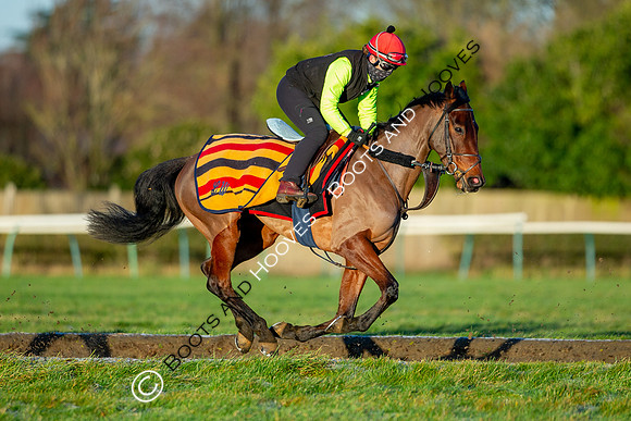 Newmarket Gallops