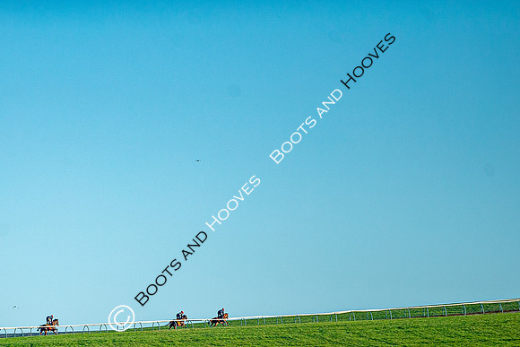 Newmarket Gallops