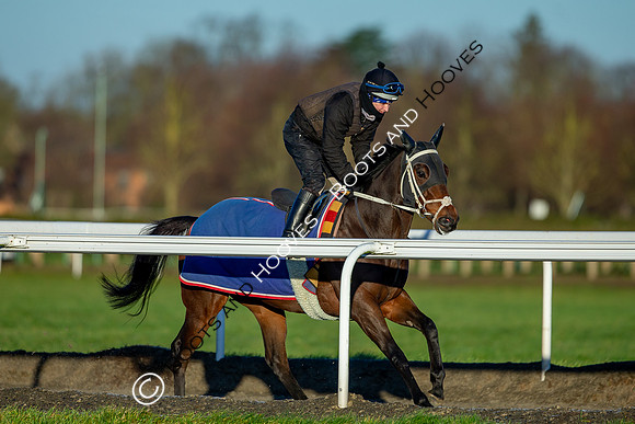 Newmarket Gallops