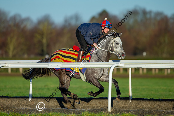 Newmarket Gallops