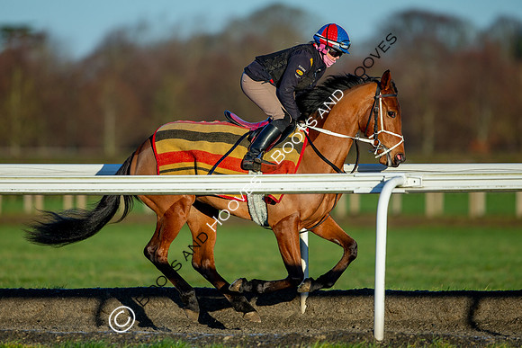 Newmarket Gallops