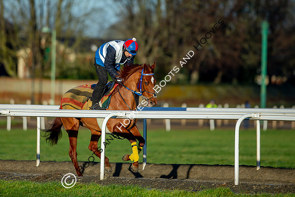 Newmarket Gallops