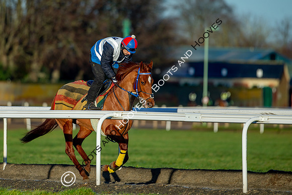 Newmarket Gallops