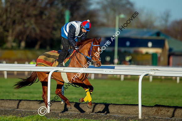 Newmarket Gallops