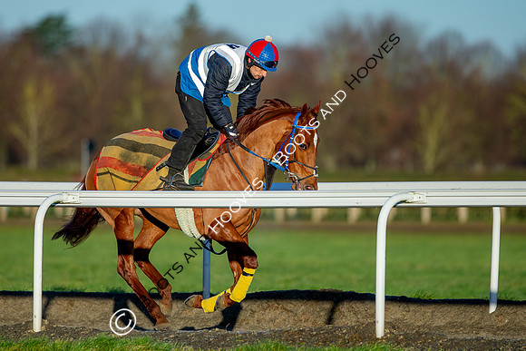 Newmarket Gallops