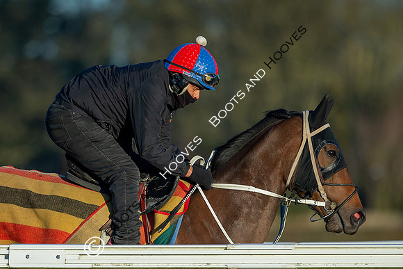 Newmarket Gallops