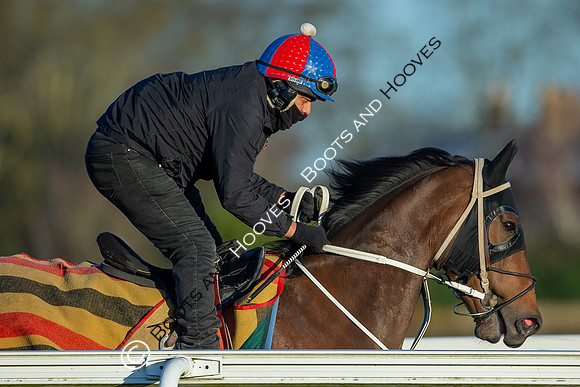 Newmarket Gallops